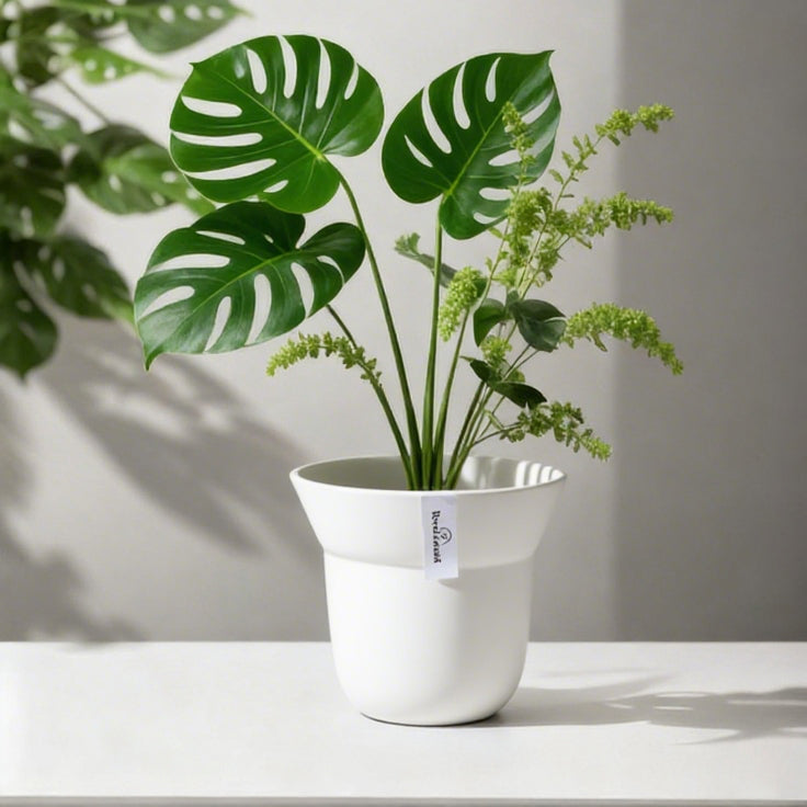 Minimalist Composite Plastic Planter Pot