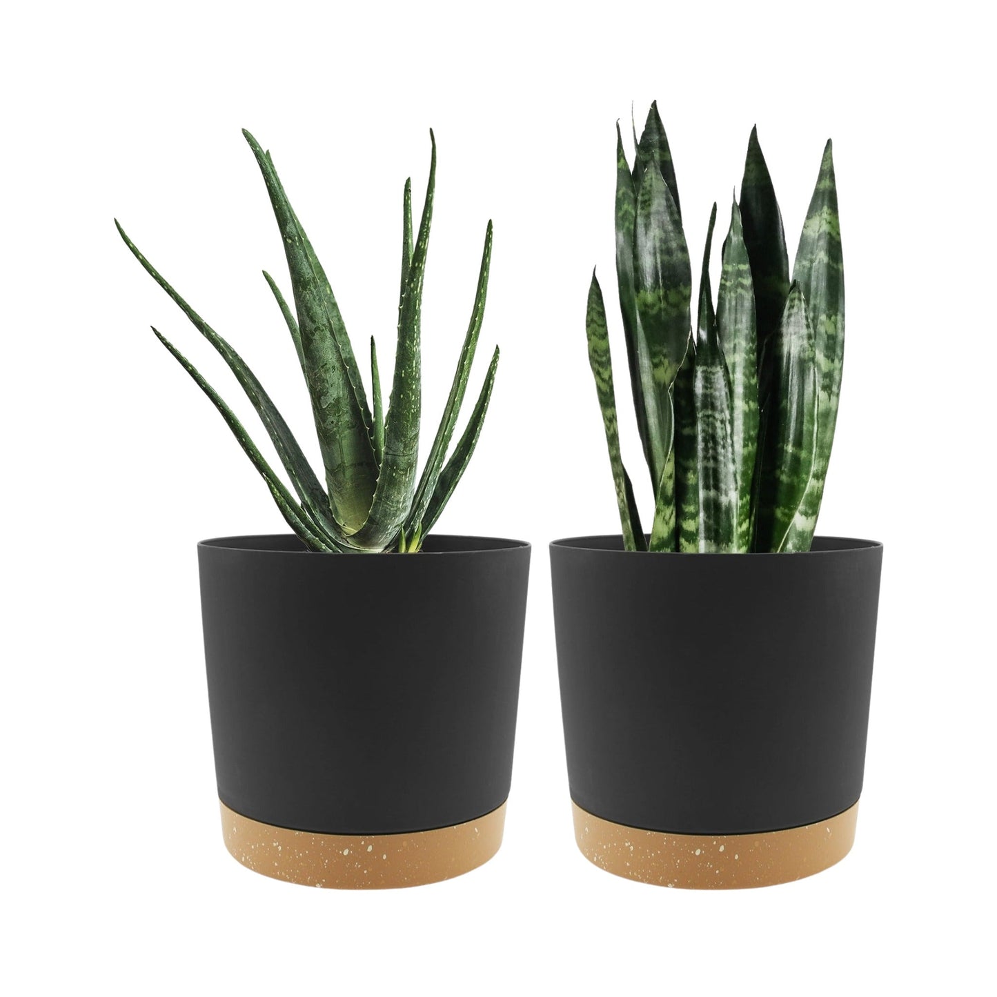 Black Plastic Planters with Drainage for Indoor House Plants
