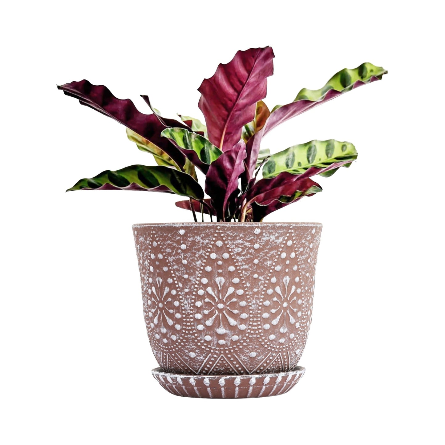 Ceramic Plant Pot with Drainage for Indoor and Outdoor Plants